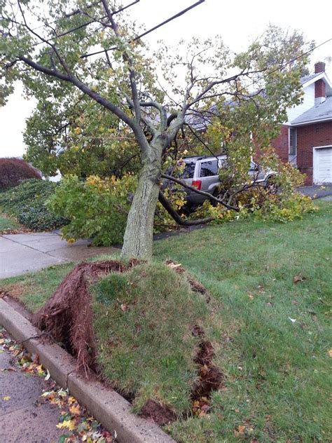 Manville residents survey damage in storm aftermath - nj.com