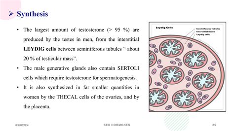 Sex Hormones And Oral Contraceptives Pptx