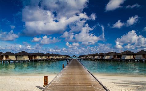 Brown Wooden Dock Nature Landscape Beach Maldives Hd Wallpaper