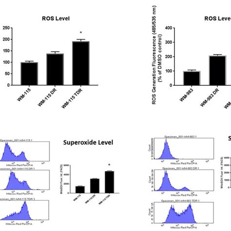 Ros Level Is Upregulated Upon Braf And Mek Inhibitor Resistance A