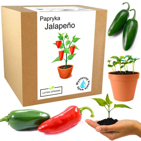 Papryka Jalapeno Chili Zestaw Do Uprawy Papryki Inna Marka Sklep