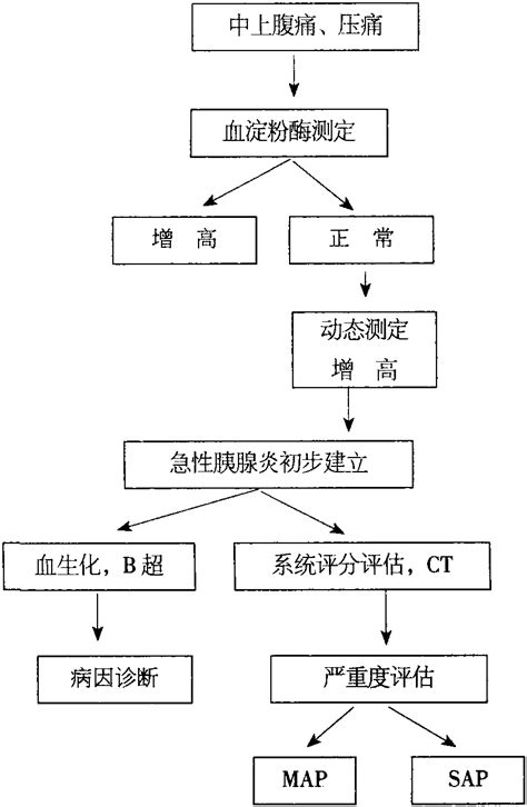 四急性胰腺炎诊断流程 外科学 医学