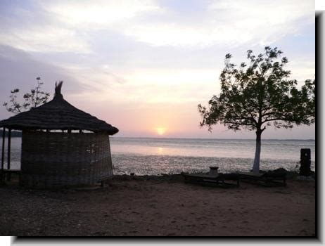 Gambia River Photos