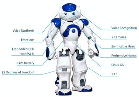 The Nao Robot Courtesy Of Aldebaran Download Scientific Diagram