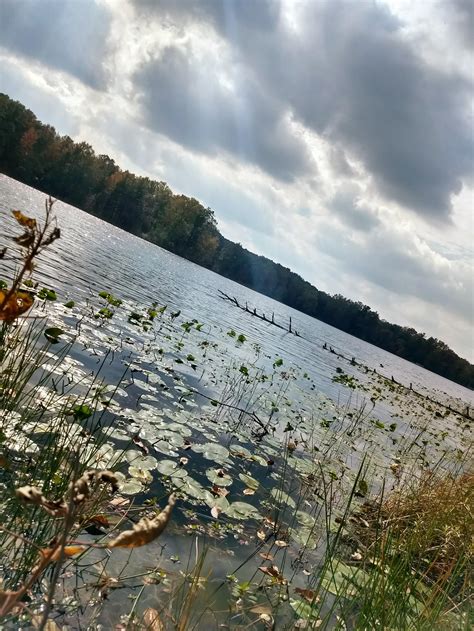 Lincoln State Park, Indiana, USA : r/naturepics