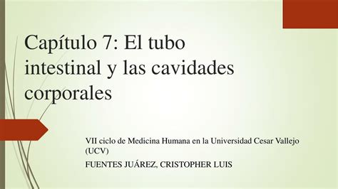 CAPÍTULO 7 EL TUBO INTESTINAL Y LAS CAVIDADES CORPORALES Dr