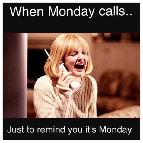 Give yourself a break. It’s freaking Monday! | Monday humor, Monday ...