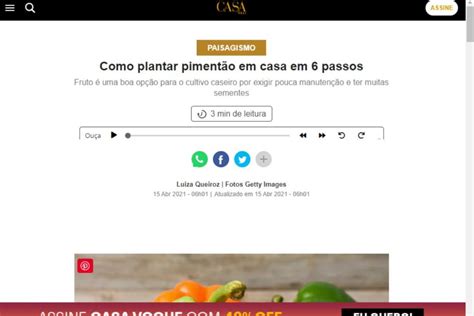 Descubra O Jeito Certo De Plantar Piment O Em Vasos Horta Jardim Cia