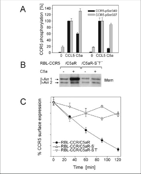 Co Expression Of Ccr5 Together With Mutant C5ar Results In Grk Mediated