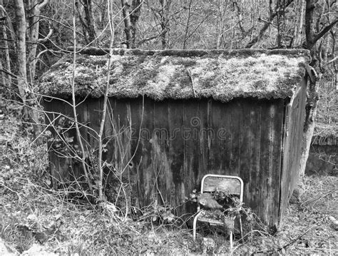 Image Monochrome D Une Vieille Cabane En Bois Abandonn E Dans La R Gion