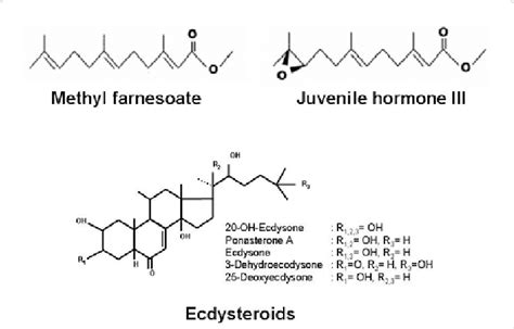 Structure Of Ecdysteroids Methyl Farnesoate And Insect Juvenile