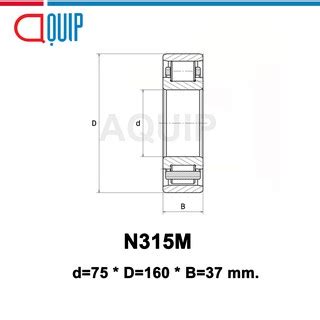 N315M UBC ตลบลกปนเมดทรงกระบอก N315 M Cylindrical Roller Bearings