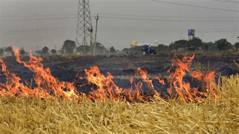 Stubble Burning Why It Continues To Smother North India Bbc News