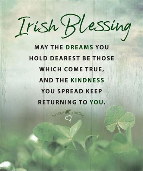 Pin By Rosella Hanson On Quilt Labels St Patricks Day Quotes Irish