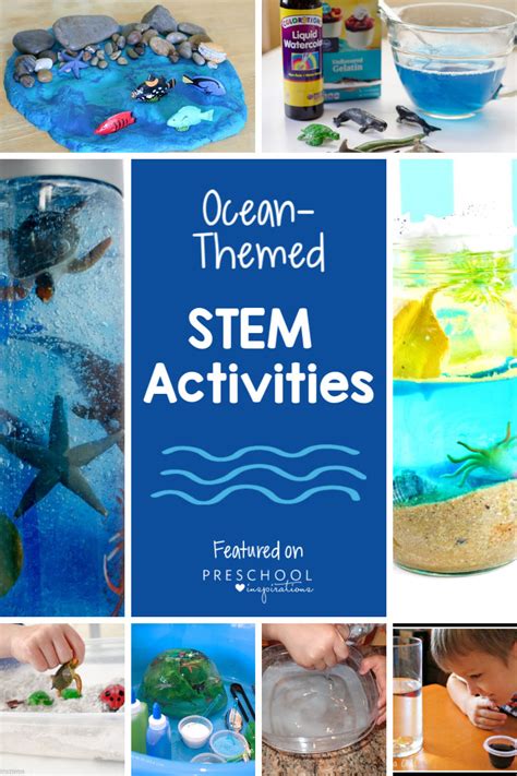 Under The Sea Theme Preschool Activities