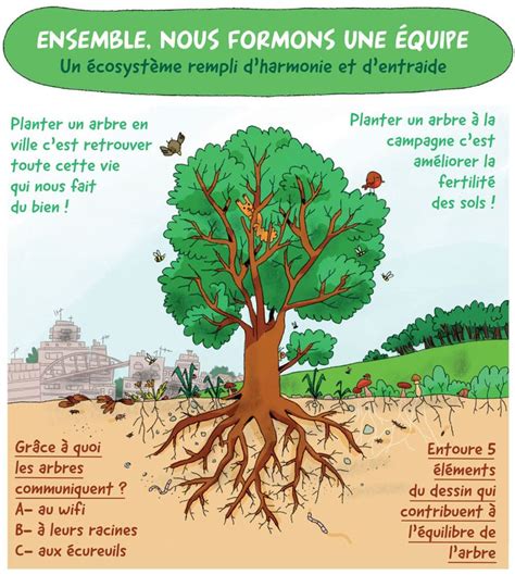 Programme l Arbre à l École Nature Special kids Animation