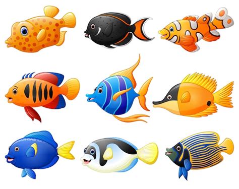 Conjunto De Dibujos Animados De Peces Vector Premium