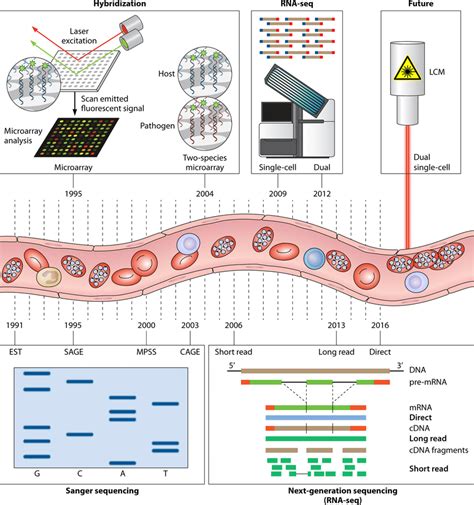 Timeline Of Transcriptomic Approaches For Infectious Diseases