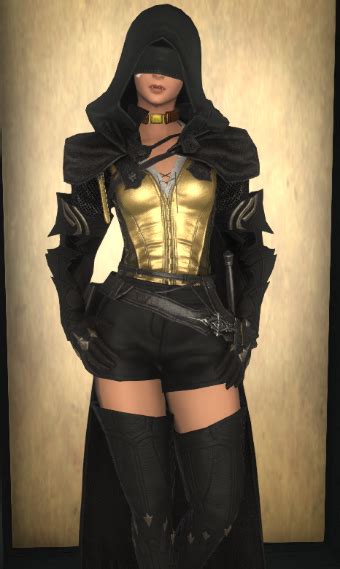 Thief Eorzea Collection