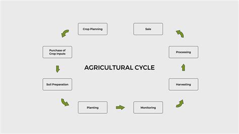 Farming Life Cycle