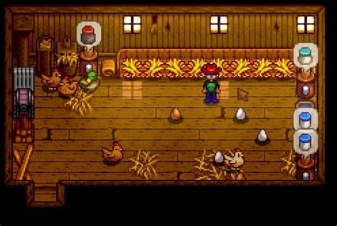 Chickens In Stardew Valley Your Complete Guide Assorted Meeples