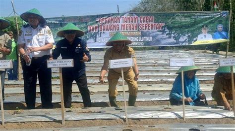 Gertam Cabai Dan Bawang Merah Serentak Sekda Oku Timur Bisa Tekan