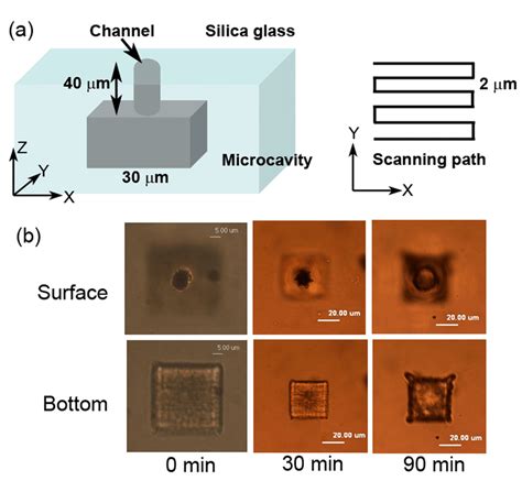 Fabrication Of Microcavity Inside Silica Glass A Schematic Diagram