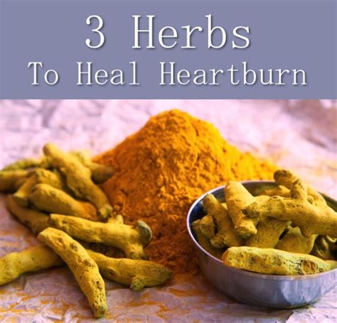 3 Herbs To Heal Heartburn Homestead And Survival