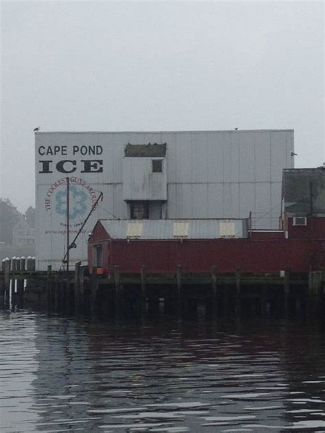 Cape Pond Ice Co The Coolest Guys Around An Institution Made