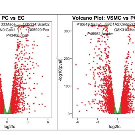 Differential Protein Profiles Of Cultured Ecs Pcs And Vsmcs A Venn