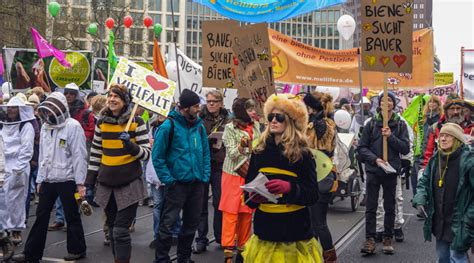 Bienen Kosmos Aurelia Stiftung