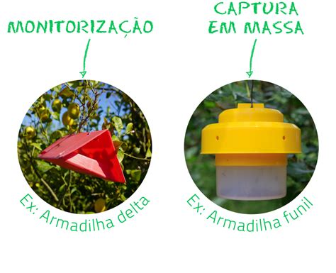 Diferentes Utiliza Es De Armadilhas Agricultura Biol Gica Agrob