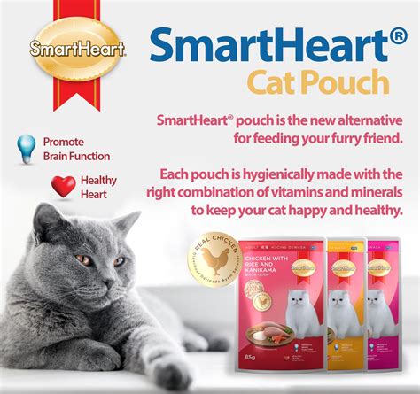 SmartHeart Adult Cat Wet Food Pouch Chicken Rice Tuna Kanikama Cheese