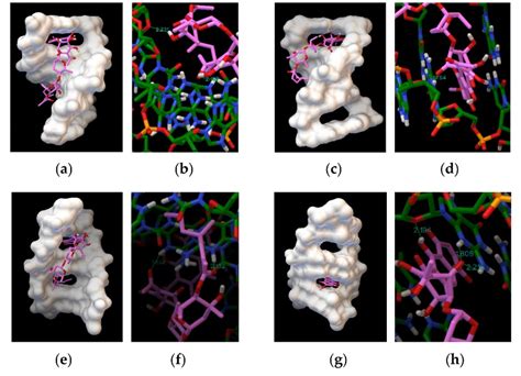 Computational Docking Model Dna Pdb Id 1bna A Binding Mode Of