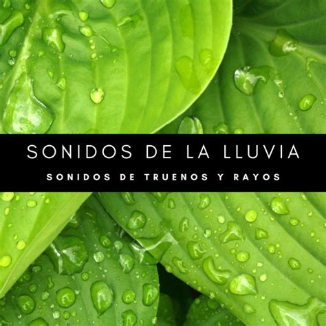 Sonidos De La Lluvia Sonidos De Truenos Y Rayos Album By F Brica De