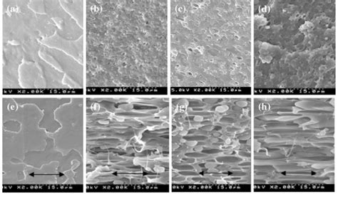 Sem Micrographs Of Fractured Surfaces Of Platpee Blends Before And