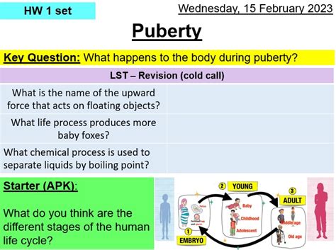 Puberty Ks3 Year 7 Teaching Resources