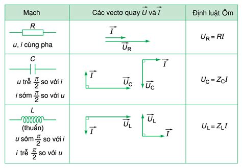 Củng cố kiến thức