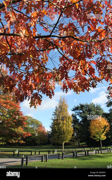 Walton Hall And Gardens Autumnal View The Of Walton Hall Gardens Stock