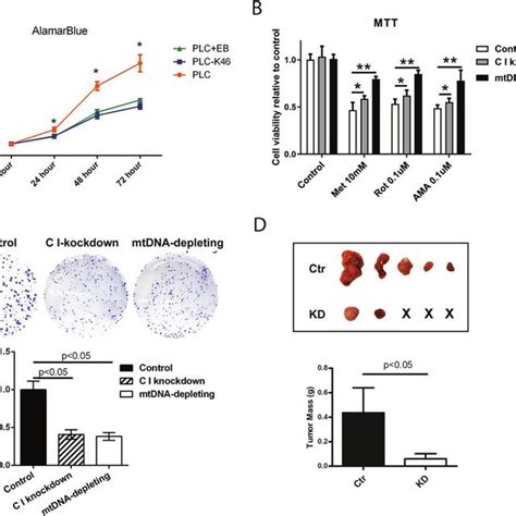 Compromising Metc Integrity Inhibits Hcc Cell Growth In Vitro A Alamar