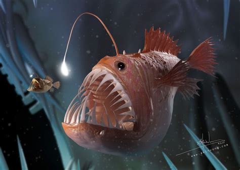 Angler Fish Eating Fish