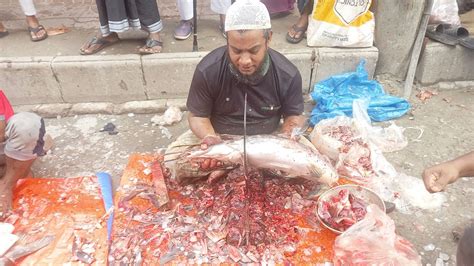 Amazing Big Ayer Fish Cutting Skills Live In Fish Market Fishcutting