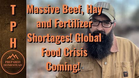 Massive Beef Hay And Fertilizer Shortages Global Food Crisis