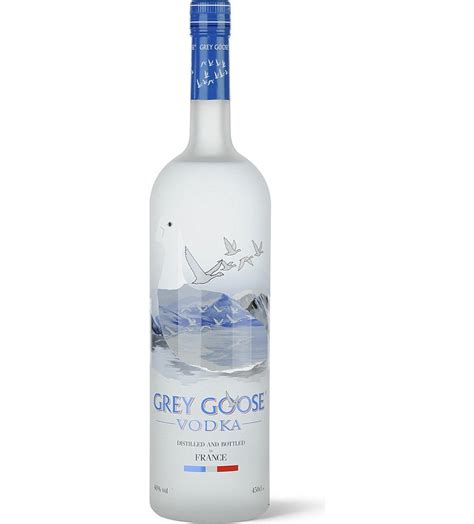 Grey Goose 4.5L + Gb | Vinissima