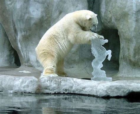 20 Mind-Blowing Ice Sculptures You Have To See