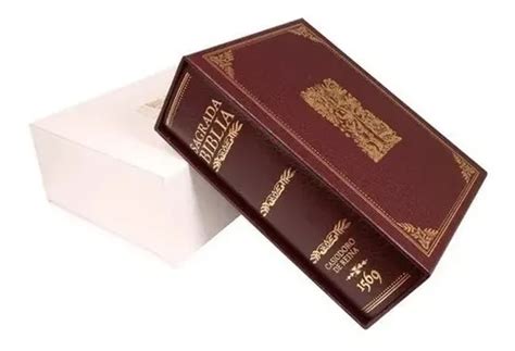 La Biblia Del Oso Edici N Conmemorativa Reforma Meses Sin