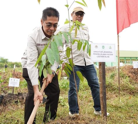 Dirjen Phl Klhk Pimpin Tanam Serentak Di Kalbar Tegaskan Urgensi Pohon