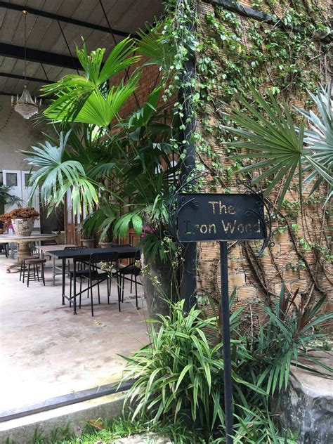 รีวิว The Ironwood ร้านอาหาร เบเกอรี่ เครื่องดื่ม ที่บรรยากาศดี ร้านสวย สวนร่มรื่น ถ่ายรูปคือ