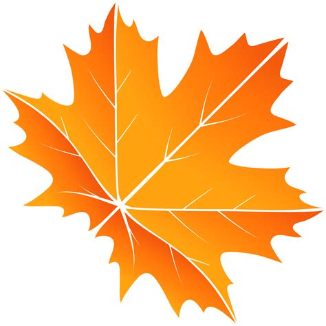 Maple Leaf 1201811 Png