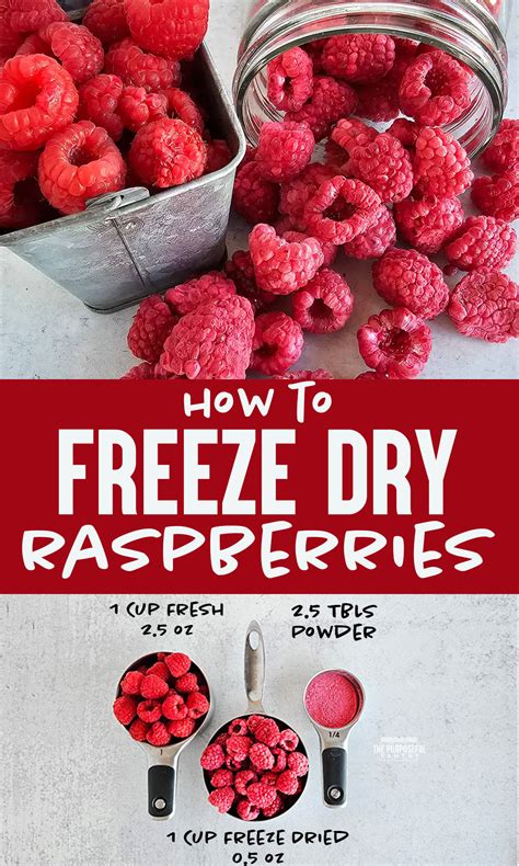 How To Freeze Dry Raspberries The Purposeful Pantry